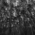 Pexels photo 6032492